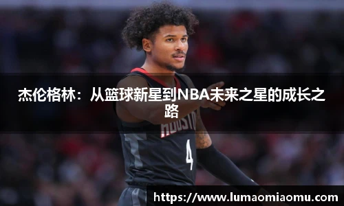 开云电子官网