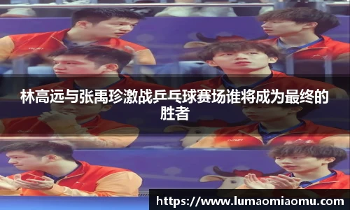 开云电子