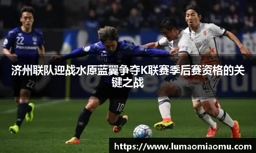 开云电子