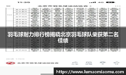 羽毛球耐力排行榜揭晓北京羽毛球队荣获第二名佳绩